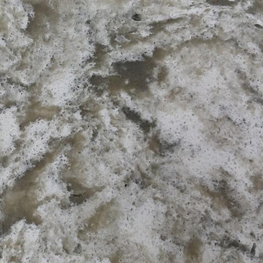 TARAZU (QUARTZ)